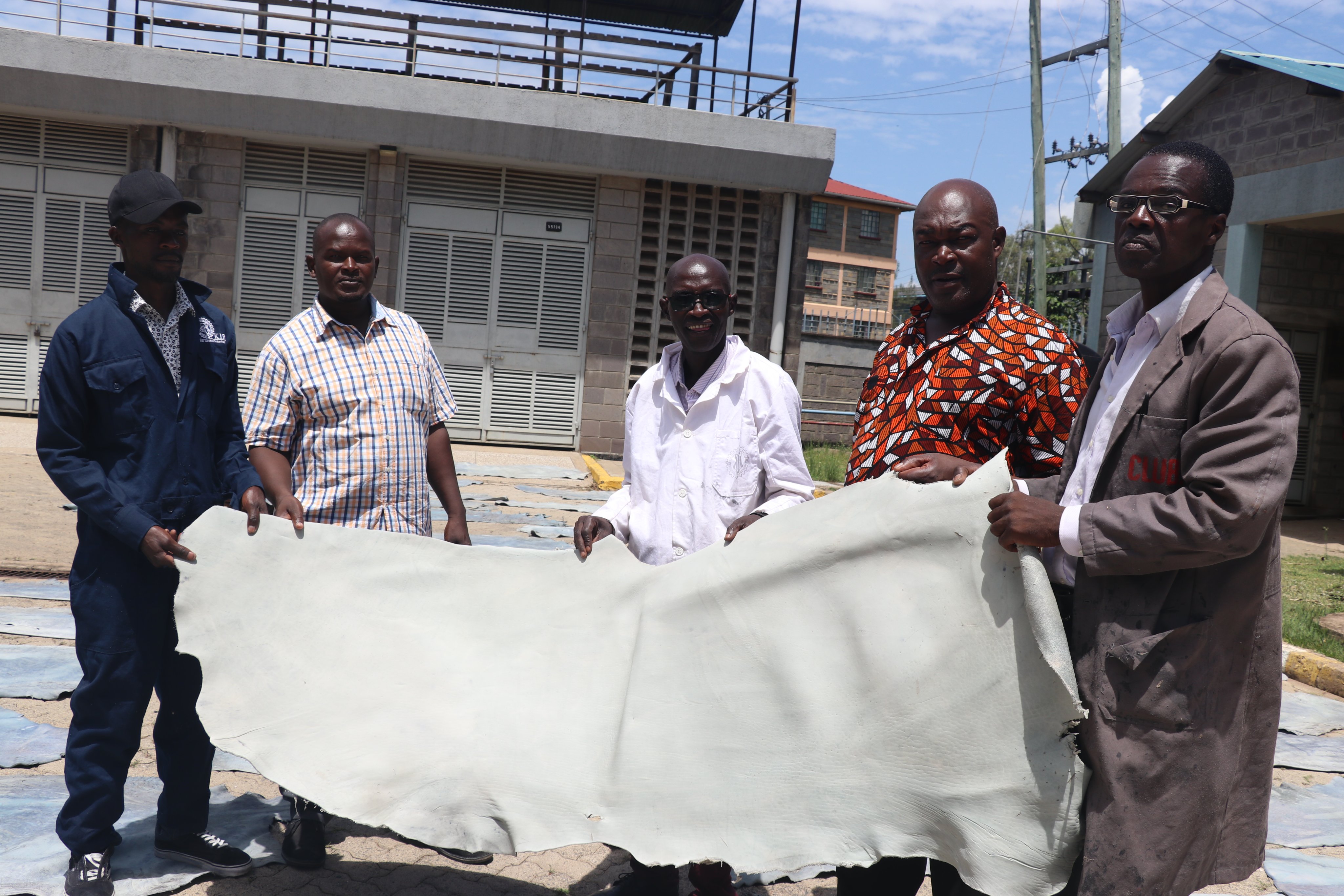 4.	Joshua Nyakundi (2nd Right) of the Institute's Research, Innovation and IP Information Division holds a hide undergoing processing with, among others, entrepreneurs like Evans Obanda (Right) and Raphael Oguta (Left) during the Institute’s officers visit to the Kenya Industrial Research & Development Institute (KIRDI)'s Leather Development Research Centre (LD-RC) in Kisumu on 7th March, 2024